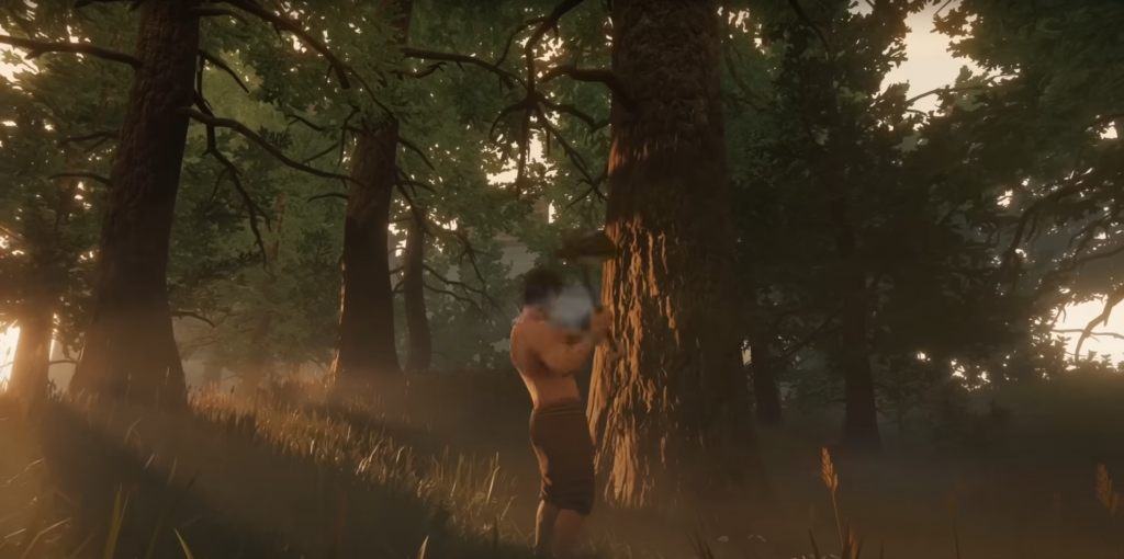 Гайд по настройке графона в Enshrouded: боремся с тормозами и подгоняем FPS